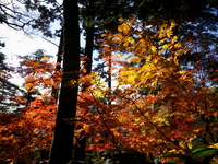 10/16 ～ 10/17  燕岳