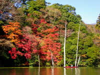 12/4（土）　紅葉の亀山湖 ♪