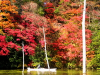 12/4（土）　紅葉の亀山湖 ♪