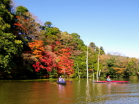 12/4（土）　紅葉の亀山湖 ♪
