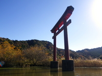 12/4（土）　紅葉の亀山湖 ♪
