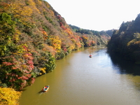 12/4（土）　紅葉の亀山湖 ♪