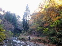 12/4（土）　紅葉の亀山湖 ♪