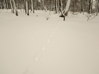 12/30 ~ 12/31 雪遊び ♪