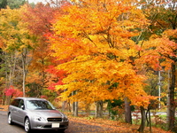 紅葉を前に。。。