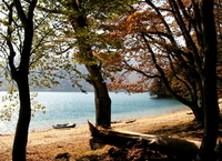 紅葉の中禅寺湖 ♪