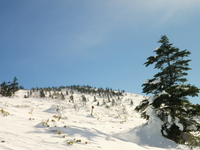 2013.1.12  なんちゃってBC　根子岳 ♪