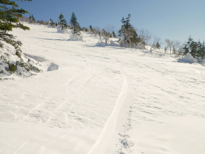 2013.1.12  なんちゃってBC　根子岳 ♪