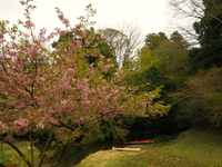 のんびり亀山湖を散策 ♪