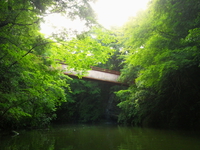 亀山湖で艇のチェック♪
