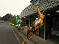 のんびり那珂川 ♪