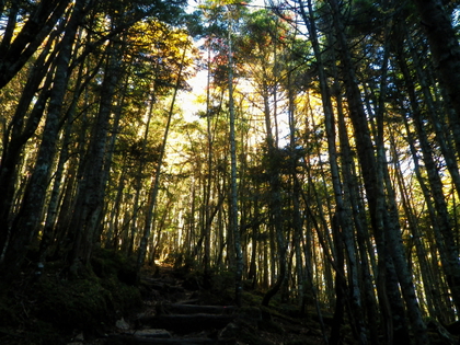紅葉の金峰山 ♪