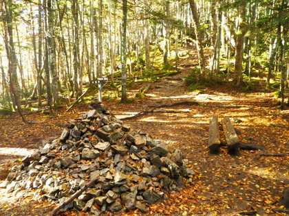 紅葉の金峰山 ♪