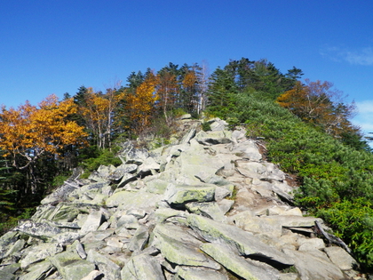 紅葉の金峰山 ♪