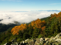 紅葉の金峰山 ♪
