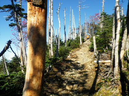 紅葉の金峰山 ♪
