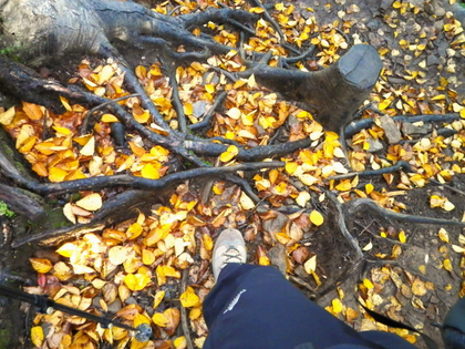 紅葉の金峰山 ♪