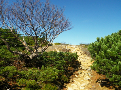 紅葉の金峰山 ♪