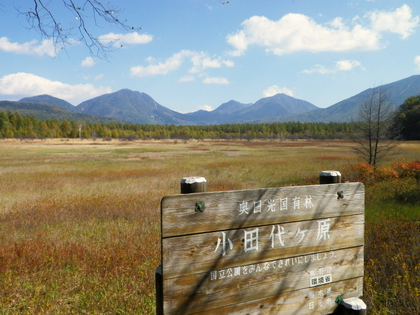 戦場ヶ原、小田代ヶ原ハイキング ♪