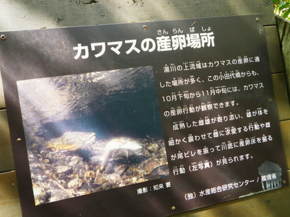 戦場ヶ原、小田代ヶ原ハイキング ♪