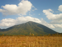戦場ヶ原、小田代ヶ原ハイキング ♪