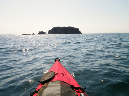 勝山 浮島でのんびり ♪