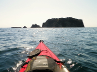 勝山 浮島でのんびり ♪