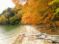 2013.10.27　紅葉の中禅寺湖 ♪
