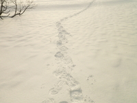 のんびり雪遊び ♪