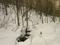 のんびり雪遊び ♪