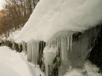 のんびり雪遊び ♪