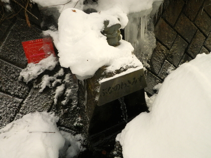 のんびり雪遊び ♪
