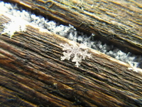 のんびり雪遊び ♪