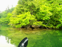 ひさしぶりの奥利根湖 ♪