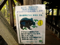 のんびり 山歩き