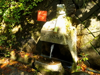 のんびり 山歩き