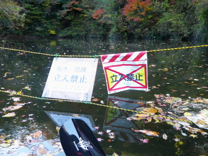 紅葉の亀山湖 ♪