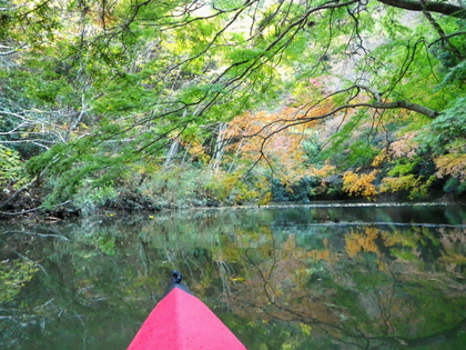 紅葉の亀山湖 ♪
