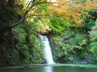 紅葉の亀山湖 ♪