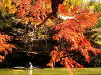 紅葉の亀山湖 ♪