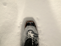 スノーシュー＆雪洞作り ♪