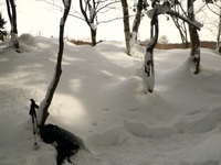 スノーシュー＆雪洞作り ♪