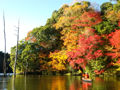 紅葉の亀山湖 ♪
