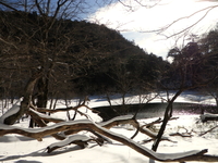静寂の湖 。。。蓼ノ湖 ＆ 刈込湖 ♪