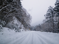 車中泊の旅　前編 ～ 美ヶ原高原 ～