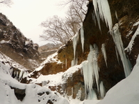 2012.1.28 雲竜渓谷