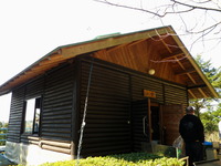裏山でお花見？