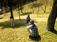 裏山でお花見？