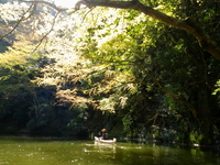 2012.4.8 今シーズン初漕ぎ IN 亀山湖 ♪