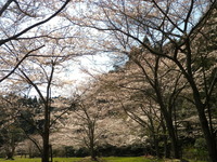 2012.4.8 今シーズン初漕ぎ IN 亀山湖 ♪